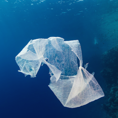 bag ban annapolis surfrider